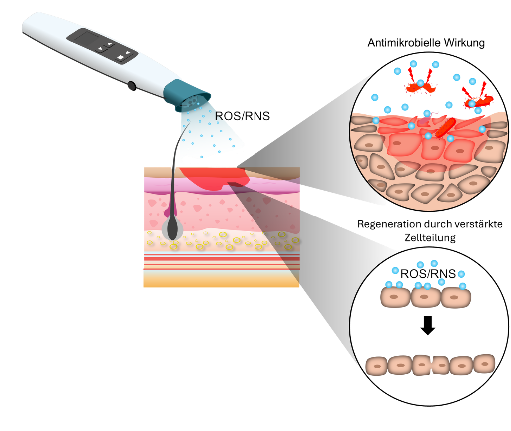 pet plasma therapy